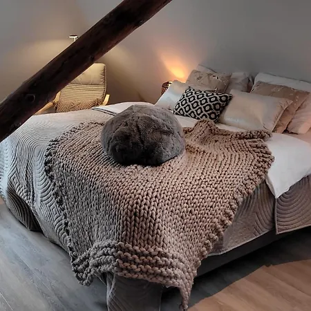 Dream Boutique Bed & Coffee * Edam